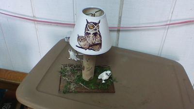 My Homemade Owl Themed Night Light Decoupage Project. Homemade Gift Idea Special for My Niece.