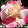 Rose petals are often used in food recipes that are sweet...